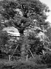 金坛注册公司